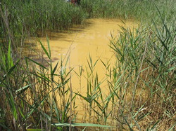 Balade dans la Colline de la Bruyère à Villars