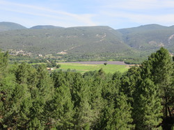 Balade dans la Colline de la Bruyère à Villars