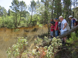 Balade dans la Colline de la Bruyère à Villars