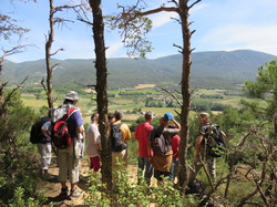 Balade dans la Colline de la Bruyère à Villars