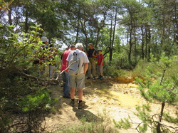 Balade dans la Colline de la Bruyère à Villars