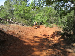 Balade dans la Colline de la Bruyère à Villars