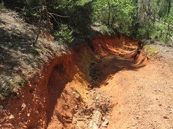 Balade dans la Colline de la Bruyère à Villars
