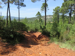 Balade dans la Colline de la Bruyère à Villars