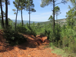 Balade dans la Colline de la Bruyère à Villars