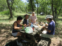 Balade dans la Colline de la Bruyère à Villars