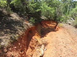 Balade dans la Colline de la Bruyère à Villars