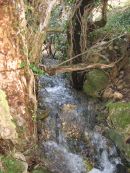 Aprés la fonte des neiges à Monieux