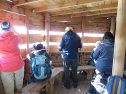 Camargue :Migration de la Grue cendrée, observation des oiseaux aquatiques