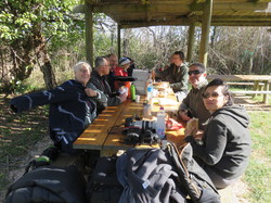 Camargue :Migration de la Grue cendrée, observation des oiseaux aquatiques