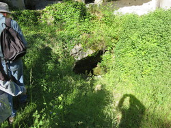 Carluc, Reillanne, Vachères 20 mai 2016