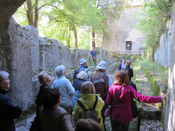 Carluc, Reillanne, Vachères 20 mai 2016