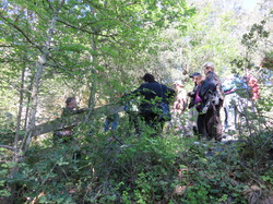 Carluc, Reillanne, Vachères 20 mai 2016