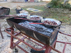 Castagnade au Château de Coudray à Aurel