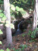 Le Barbara à St Didier 7 novembre 2009