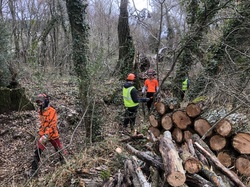 Coup de Chapeau aux Lycéens de la Ricarde