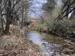 Coup de Chapeau aux Lycéens de la Ricarde
