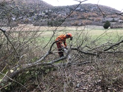 Coup de Chapeau aux Lycéens de la Ricarde