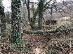 Coup de Chapeau aux Lycéens de la Ricarde
