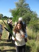 De source en source le 11 juillet 2009