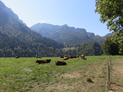 De la Chartreuse à la Valdaine