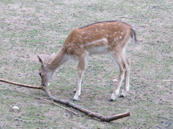 De la Chartreuse à la Valdaine