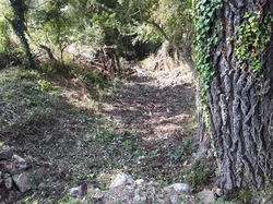 Débroussaillage du Moulin Virgile à Monieux