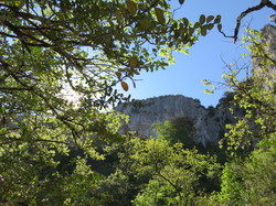 Découverte des oiseaux par le chant