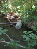Le 16 mai 2009 à Saint Didier et au Beaucet
