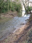 Aprés la fonte des neiges à Monieux