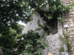 Entre la pierre et l'eau