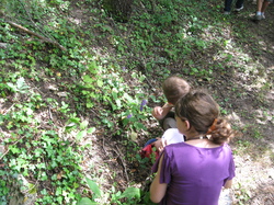 Entre Lavandes et châtaigniers à Aurel