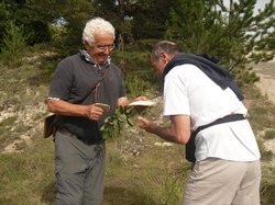 Entre Lavandes et châtaigniers à Aurel