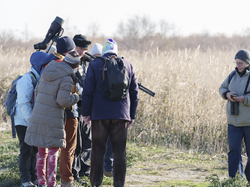 Escapade en Camargue