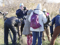 Escapade en Camargue
