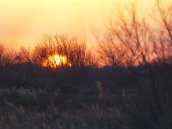 Escapade en Camargue