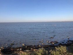 Escapade en Camargue