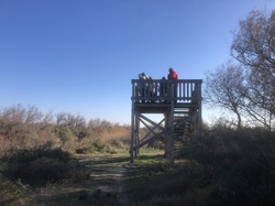 Escapade en Camargue