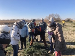 Escapade en Camargue