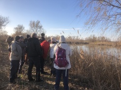 Escapade en Camargue