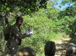 Flore & Insectes : un mariage excetionnel