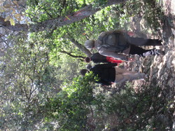 Flore & Insectes : un mariage excetionnel