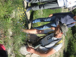 Flore & Insectes : un mariage excetionnel