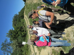 Flore & Insectes : un mariage excetionnel