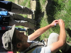 Flore & Insectes : un mariage excetionnel