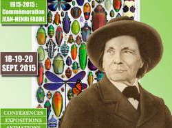 Jean Henri Fabre 