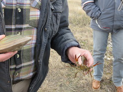 Jounée mondiale des zones humides