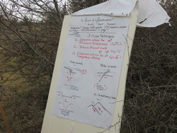 Jounée mondiale des zones humides