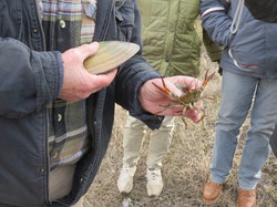 Jounée mondiale des zones humides
