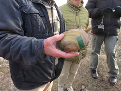 Jounée mondiale des zones humides